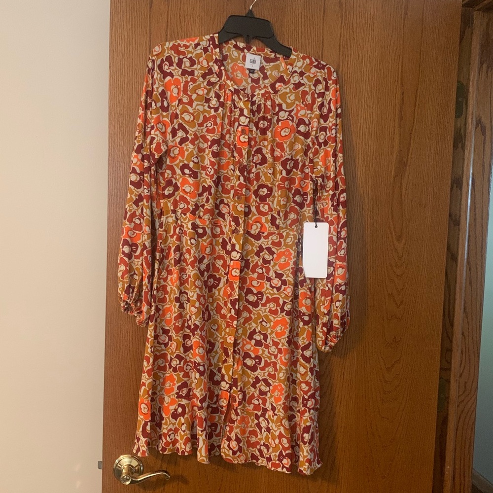 Cabi dress with slip underneath